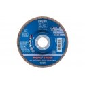 PFERD PFC 125 CO-FREEZE 50 SGP STRONG INOX šlifuojamasis rotacinis įrankis / eksploatacinė šlifavimo PFERD PFC 125 CO-FREEZE 50 SGP STRONG INOX šlifuojamasis rotacinis įrankis / eksploatacinė šlifavimo