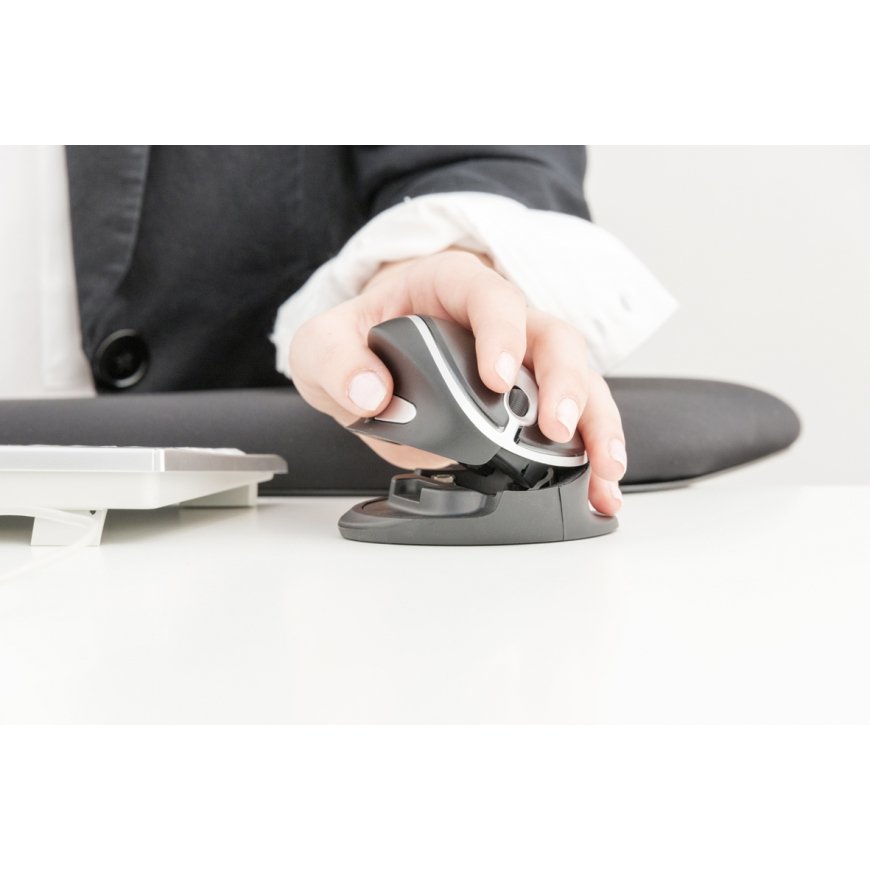 Kenson 5081 kompiuterio pelė Biuras Abiems rankoms USB A tipo 1000 DPI – 3