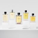 TERRE D&39HERMÈS PARFUM INTENSE EDP vapo 50 ml