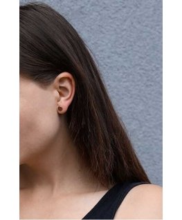 Beneto Rožinė auksinis plated sidabrinis earrings AGUP1956-ROSE