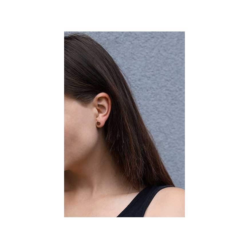 Beneto Rose gold plated silver earrings AGUP1956-ROSE