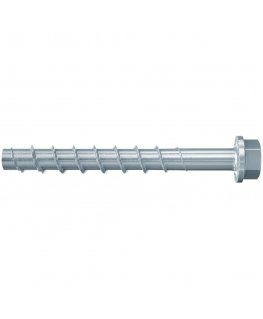 Fischer 536862 100 mm 50 vnt Varžtas