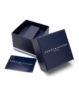 Watch TOMMY HILFIGER LUCA MEN'S WATCH 1710494 + BOX