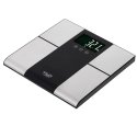 Adler AD 8165 personal scale Rectangle Black, Grey Electronic personal scale
