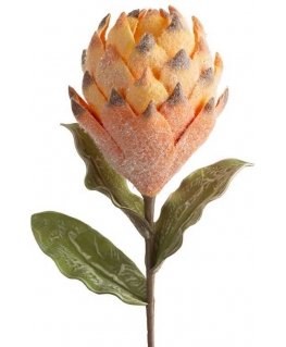 Eurofirany KW/FLORE/793/POM POMA