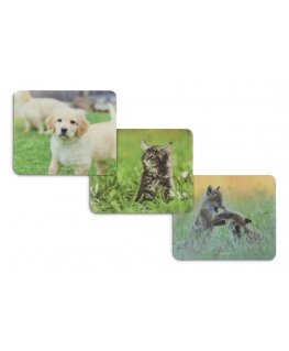 Hama Animal Monivärinen