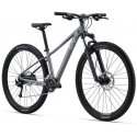 Liv Tempt 29 2 Liquid Metal -maastopyörä