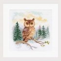 Beldizart Cross stitch kit "Forest Tales. Owl" S0-242