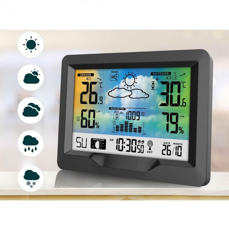 Berdsen Weather station with display Baldr BD-901 – 5