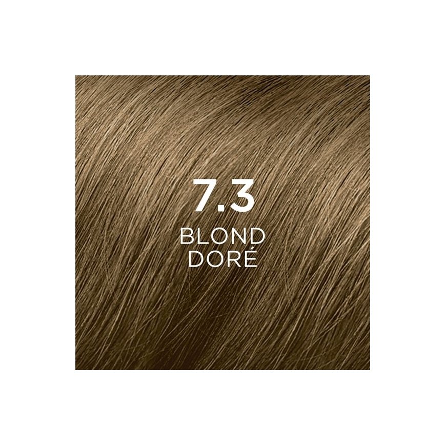 PHYTO PHYTOCOLOR 7,3 Blond Doré juuksevärv 112 ml – 2