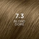 PHYTO PHYTOCOLOR 7,3 Blond Doré matu krāsa Blonds 112 ml PHYTO PHYTOCOLOR 7,3 Blond Doré matu krāsa Blonds 112 ml