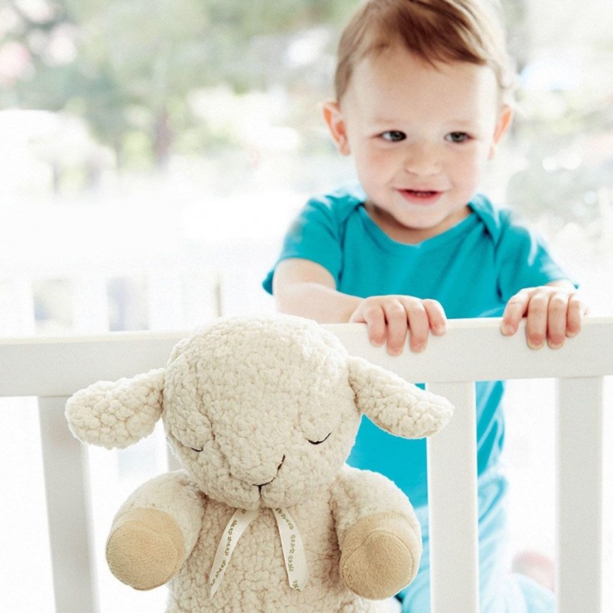 Cloud B Sleep Sheep – 5