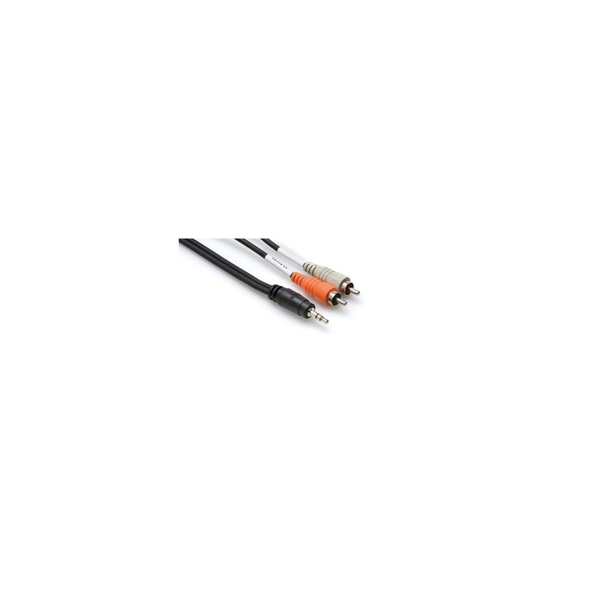 Hosa Technology CMR-210 аудио кабель 3,05 m 3,5 мм 2 x RCA Черный