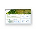 Sony FW-65BZ30L infoekraan Digital signage lameekraan 165,1 cm (65") LCD WiFi 440 cd/m² 4K Ultra HD 