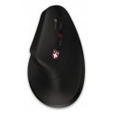Connect IT Verti TriMode компьютерная мышь Медицина Для правой руки Bluetooth + USB Type-A Оптически Connect IT Verti TriMode компьютерная мышь Медицина Для правой руки Bluetooth + USB Type-A Оптически