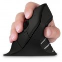Connect IT Verti TriMode компьютерная мышь Медицина Для правой руки Bluetooth + USB Type-A Оптически Connect IT Verti TriMode компьютерная мышь Медицина Для правой руки Bluetooth + USB Type-A Оптически