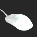 Endgame Gear OP1 RGB pele Speļu Labā roka USB Type-A Optisks 26000 DPI Endgame Gear OP1 RGB pele Speļu Labā roka USB Type-A Optisks 26000 DPI