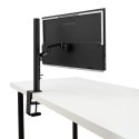 ASUS ZenScreen MB229CF tietokoneen litteä näyttö 54,6 cm (21.5") 1920 x 1080 pikseliä Full HD LED mu