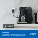 TP-Link Tapo P110 nutipistik 3680 W Kodu, Kontor Valge TP-Link Tapo P110 nutipistik 3680 W Kodu, Kontor Valge