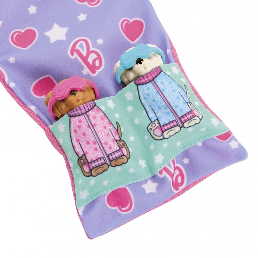 Barbie Doll and Accessories – 4