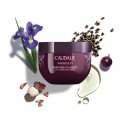 Caudalie 780261 Kūno kremas arba losjonas 250 ml Kreminė Moteriškas Caudalie 780261 Kūno kremas arba losjonas 250 ml Kreminė Moteriškas