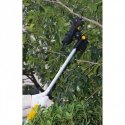 Telescopic cordless secateurs TEXAS GS725Li 90063173 Telescopic cordless secateurs TEXAS GS725Li 90063173
