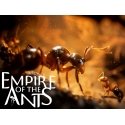 Microids Empire Of The Ants Microids Empire Of The Ants