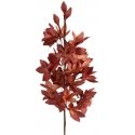 Eurofirany TABLE KW/FLORE/797/BOR Eurofirany TABLE KW/FLORE/797/BOR