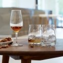 Spiegelau 4460176 viskija glāze Caurspīdīgs 4 pcs 380 ml