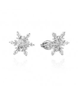 Beneto Sidabrinis earrings TAGUP1565S