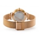 Laikrodis moterims Daniel Wellington DW00100161 - Petite Melrose (zx704a)