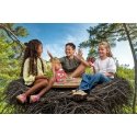 Games Birdy Call party game Games Birdy Call party game