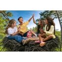 Pelit Birdy Call -juhlapeli Pelit Birdy Call -juhlapeli