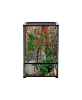 Terrarium : Repti Planet Terrarium 60x45x90cm