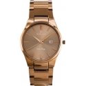 Men's watch G. ROSSI - 8245B2-2B3 (zg259f) + box Men's watch G. ROSSI - 8245B2-2B3 (zg259f) + box