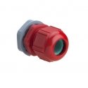 Schneider Electric ISM71503 cable gland Grey Polyamide Schneider Electric ISM71503 cable gland Grey Polyamide