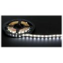 TST LED STRIP LED60A-12V/14.4W-CW/50M 50 m – 6000 K TST LED STRIP LED60A-12V/14.4W-CW/50M 50 m – 6000 K