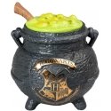 ERIK Harry Potter Potions Cauldron Biscuit box