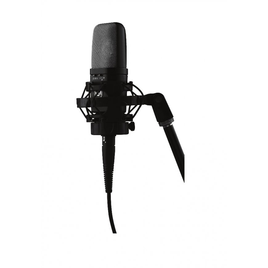 Warm Audio WA-14 mikrofon Must Stuudiomikrofon
