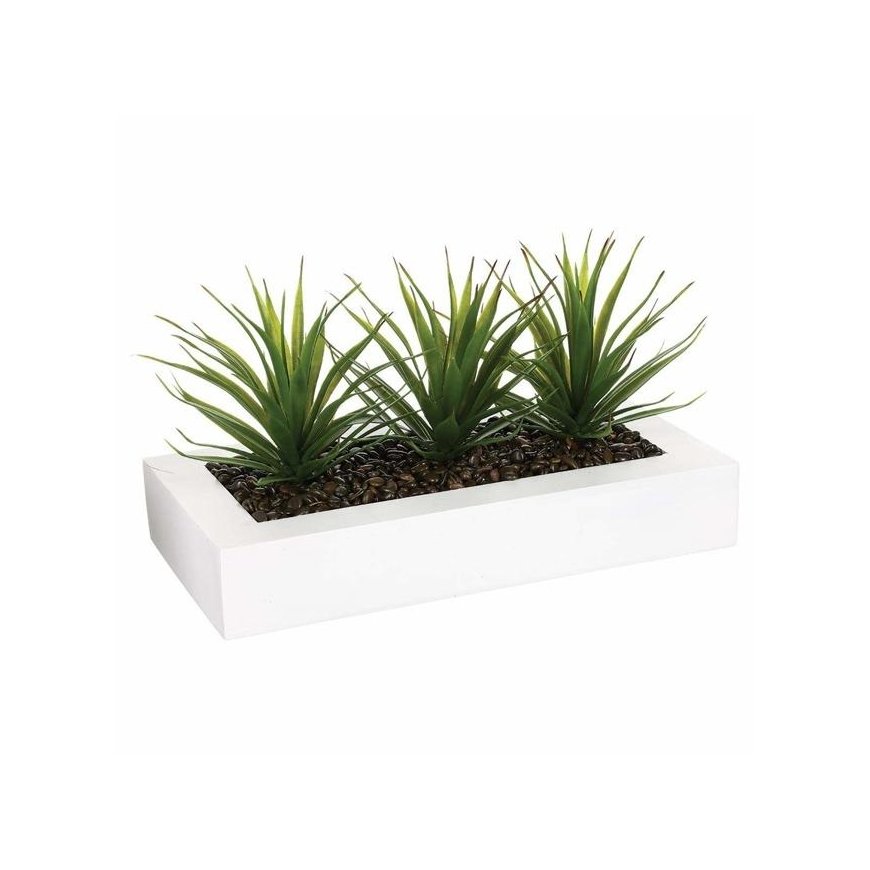 Aloe Kukkaruukku kolmella aloen taimella, koristelu keinokasveilla Atmosphera Créateur ...