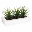 Aloe Gėlių vazonas su trimis alavijo sodinukais, papuošimas dirbtiniais augalais Atmosphera Créateur ... Aloe Gėlių vazonas su trimis alavijo sodinukais, papuošimas dirbtiniais augalais Atmosphera Créateur ...