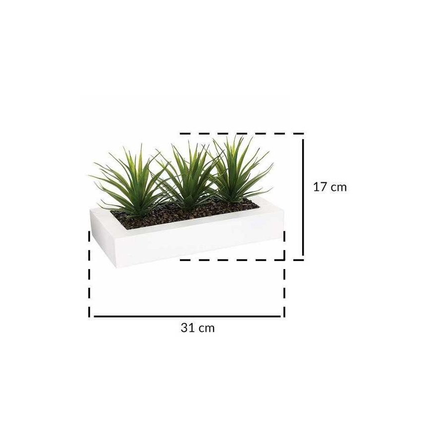 Aloe Flower pot with three aloe seedlings, decoration with artificial plants Atmosphera Créateur ... – 3