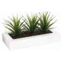Aloe Gėlių vazonas su trimis alavijo sodinukais, papuošimas dirbtiniais augalais Atmosphera Créateur ... Aloe Gėlių vazonas su trimis alavijo sodinukais, papuošimas dirbtiniais augalais Atmosphera Créateur ...