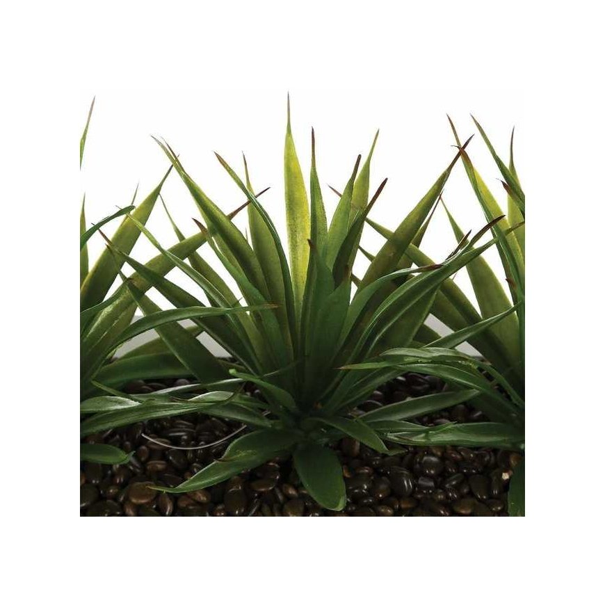 Aloe Gėlių vazonas su trimis alavijo sodinukais, papuošimas dirbtiniais augalais Atmosphera Créateur ... – 5