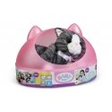 BABY born My Cat Cookie with Box Lelles mājdzīvnieks