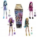 Monster High HYV64 lelle Monster High HYV64 lelle