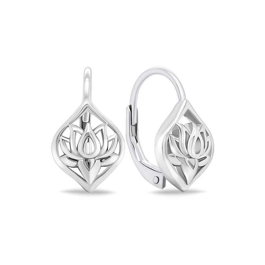 Brilio Silver Beautiful silver dangle earrings EA700W