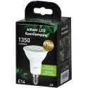 Airam Fiora taimelamp, E14, 4000 K, 420 lm Airam Fiora taimelamp, E14, 4000 K, 420 lm