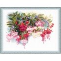 Uab Riolis Fuchsia 1398 Uab Riolis Fuchsia 1398