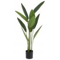 Atmosphera Dirbtinis augalas Strelitzia, 97 cm Atmosphera Dirbtinis augalas Strelitzia, 97 cm